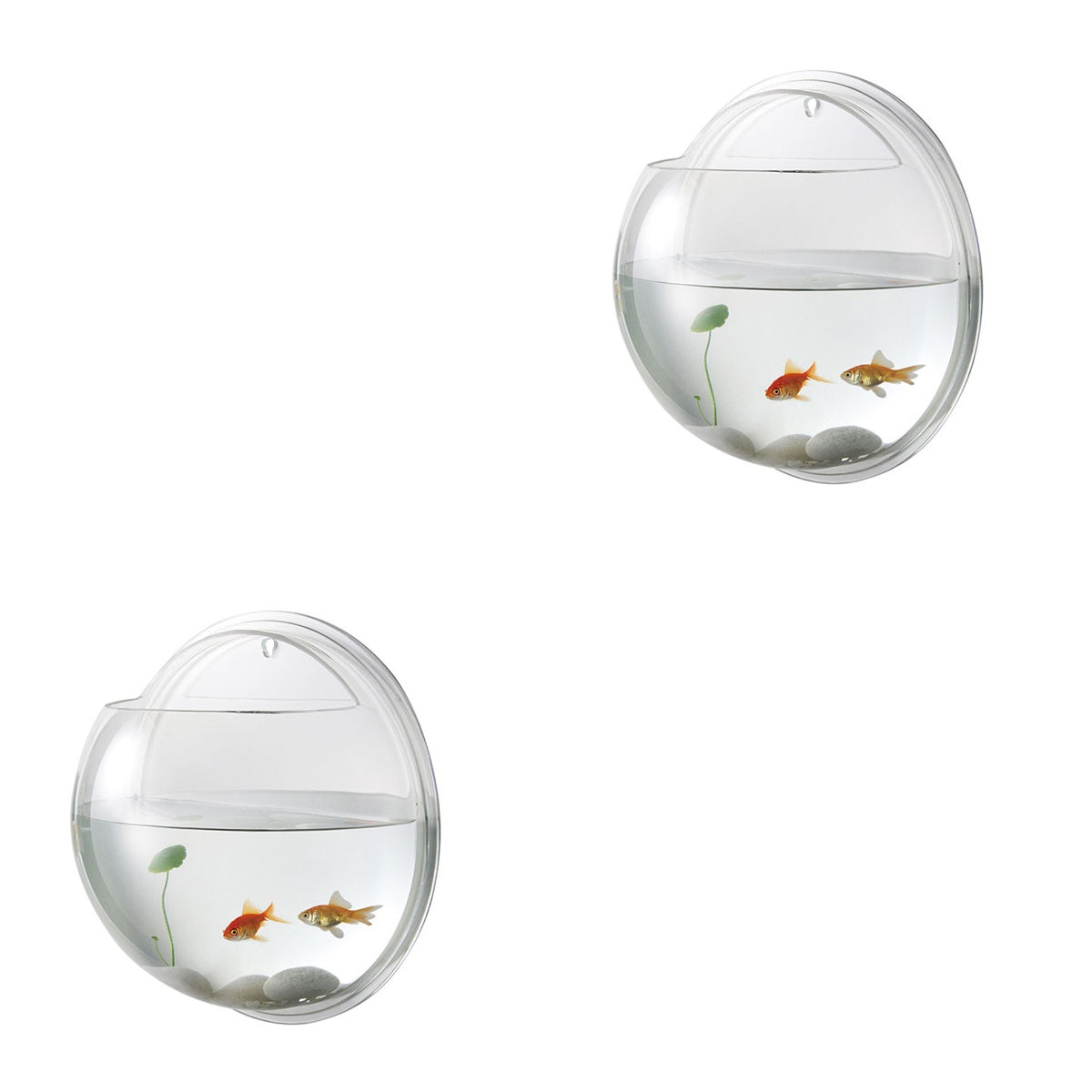 Frcolor Fish Wall Hanging Aquarium Tank Aquarium Mounted Bowl Pot Supplies Tanks Planter Betta Bubble Acrylic Bubble Tank