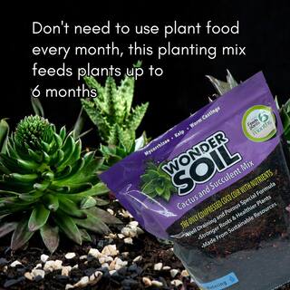 WONDER SOIL 12 Qt. Premium Cactus and Succulent Expanding Potting Soil Mix WSCACTUS3