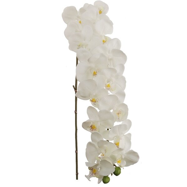 Phalaenopsis Orchid 48 Inch with 16 Real Touch Silk Blooms