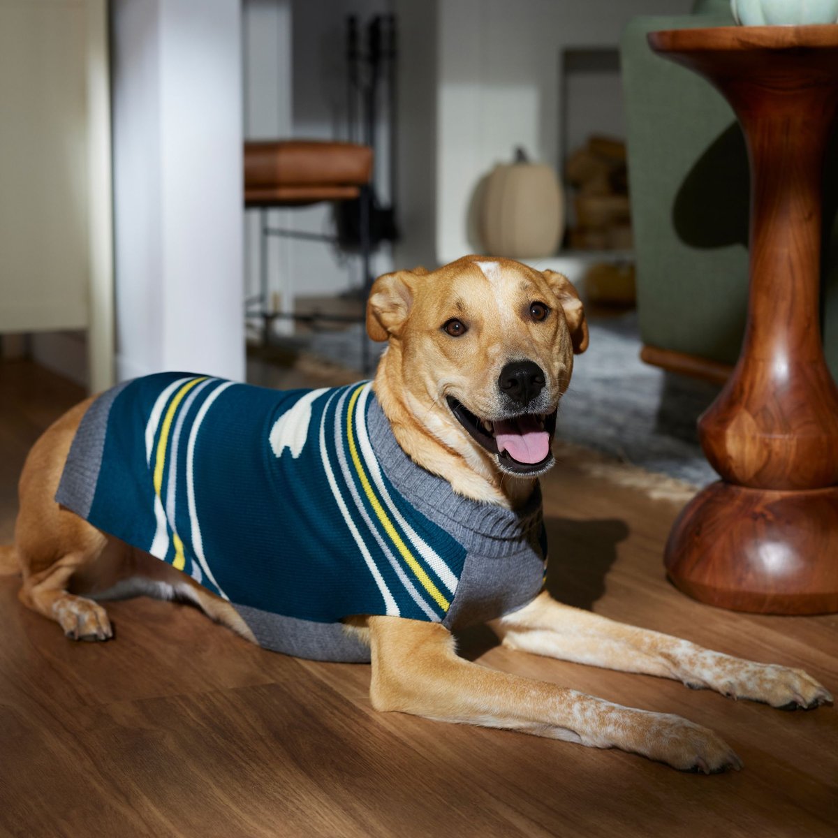 Frisco Striped Bone Dog and Cat Sweater