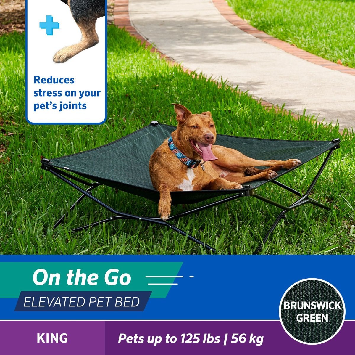 Coolaroo On The Go Elevated Cat and Dog Bed with Removable Cover