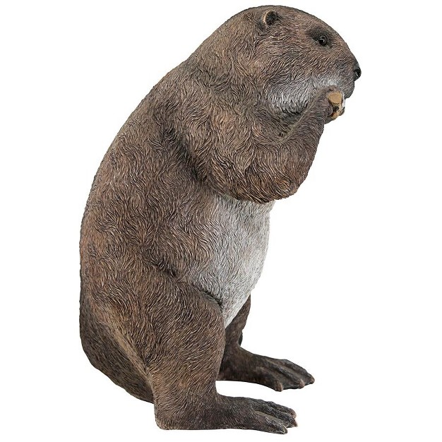 Design Toscano Dam Building Beaver Animal Statue