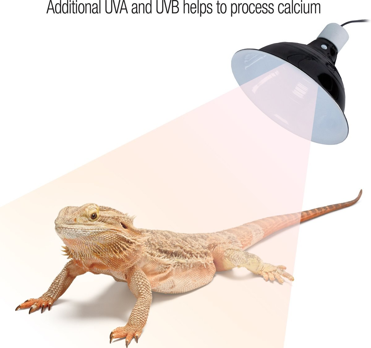 Zilla Food Spray Calcium Reptile Supplement