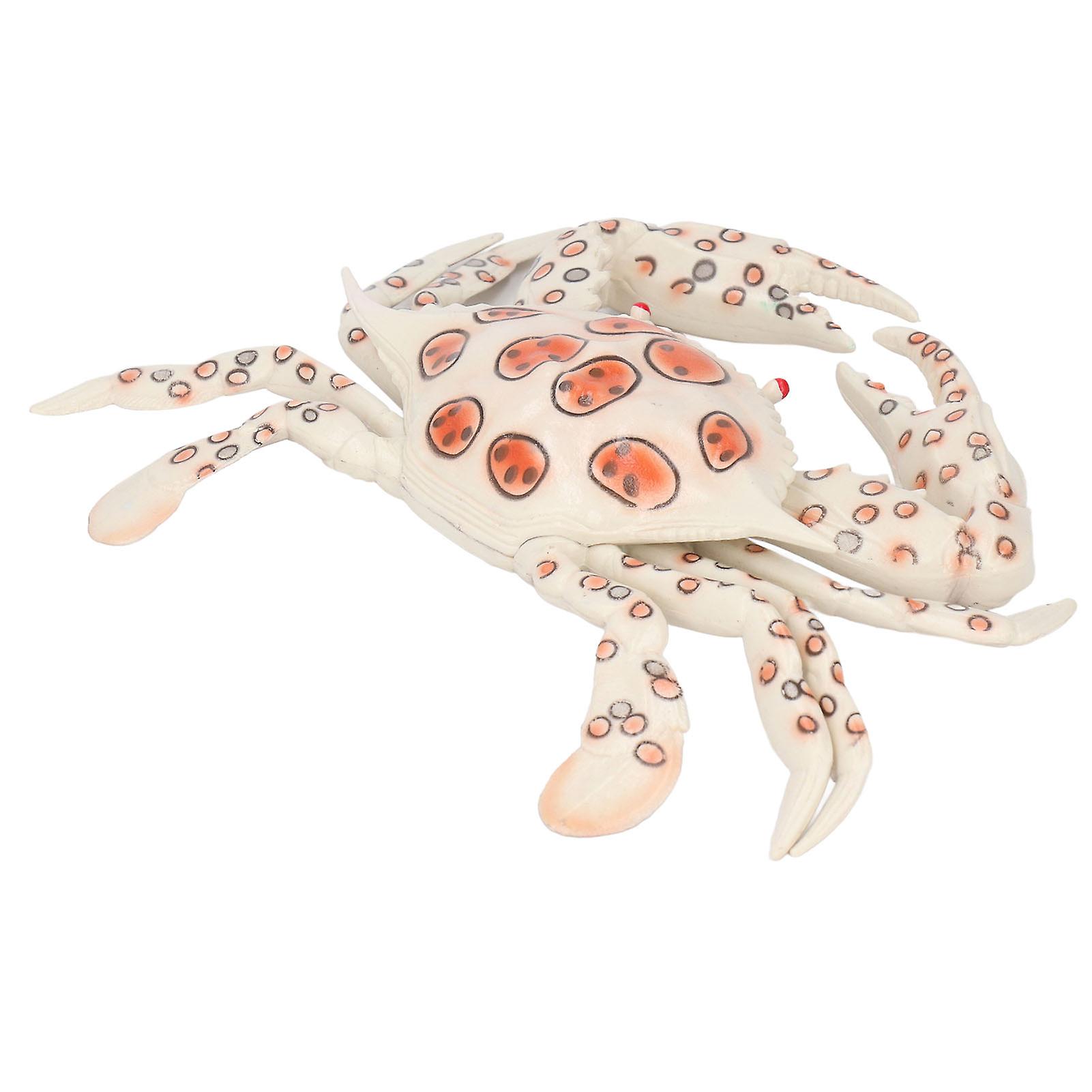 Crab Toy Educational Interesting Plastic Safe Vivid Shape Marine Biological Cognition Teaching Ornaments for Kids