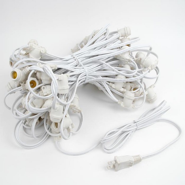 Novelty Lights Globe Outdoor String Lights With 80 In line Sockets White Wire 100 Feet