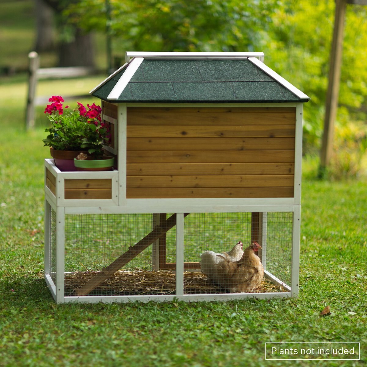 Prevue Pet Products Herb Planter Chicken Coop