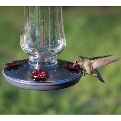 Perky-Pet Clear Starglow Vintage Glass Hummingbird Feeder - 16 oz