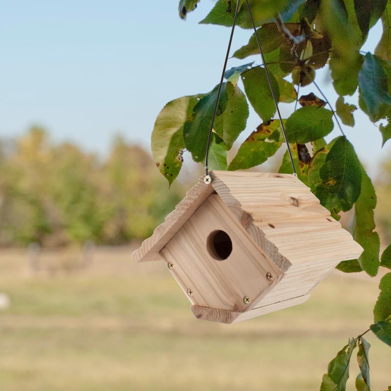 WREN BIRD HSE RED CEDAR