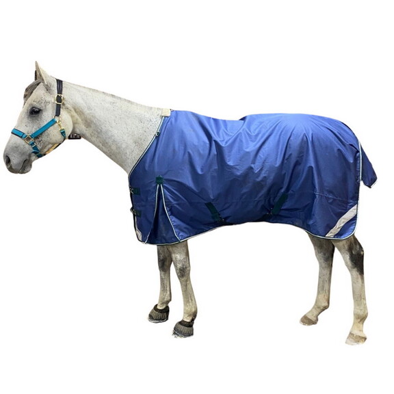 Intrepid International Pro Trainer Turnout Blanket...