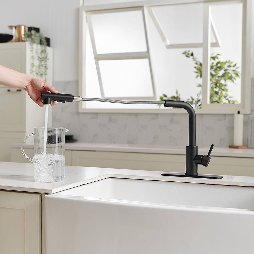 BWE 2 Sprayer Single Hole Single-Handle Pull Out Kitchen Faucet in Matte Black A-94020-Black