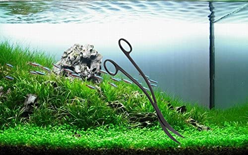 Professional Aquarium Plant Aquascaping Wave Scissors Stainless Steel with Carbonation Protection Coating