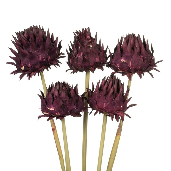 Vickerman 15 Violet Artichoke Head attached to a Reed Stem，Dried