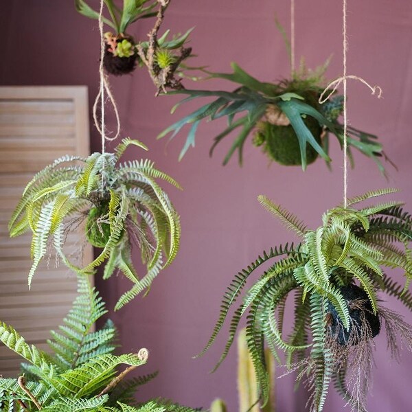 RusticReach Artificial Hanging Fern Plant Décoration