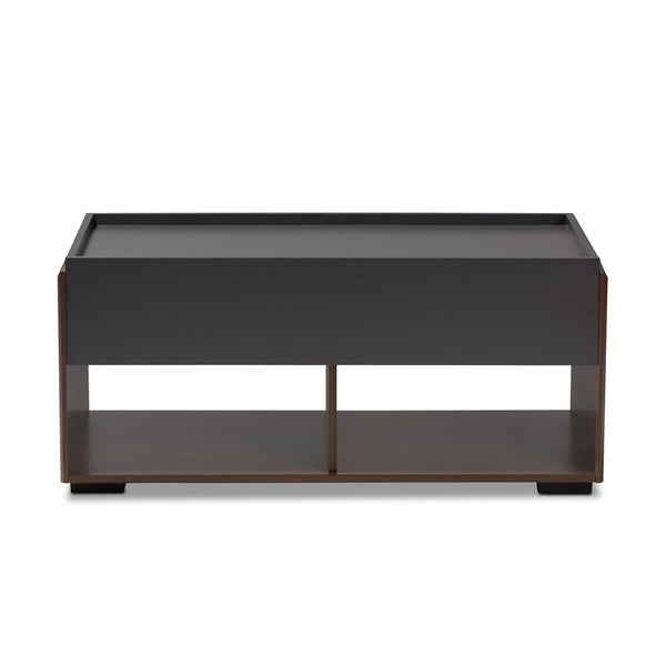 Contemporary 2-Drawer Coffee Table