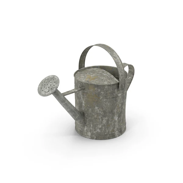 Garden SuppliesGalvanized Indoor And Outdoor Watering Can Hammered Design Garden Water Can Garden Plant Growth Supplies