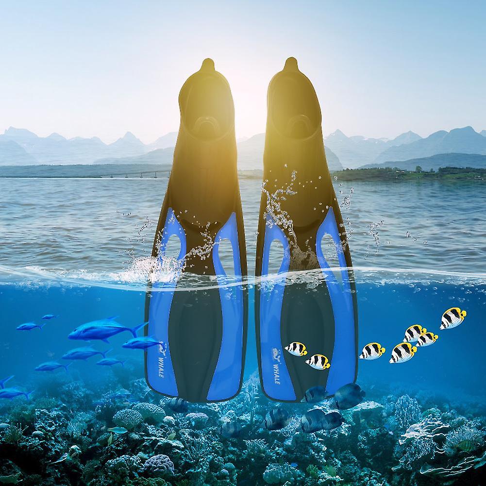 WHALE Swimming Snorkeling Diving Fin Foot Flippers Scuba Equipment Gear (S)