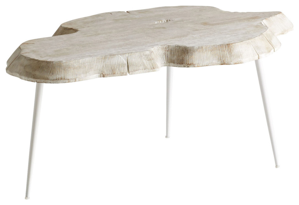 Palmer Coffee Table  Whitewash   Rustic   Coffee Tables   by Lighting New York  Houzz