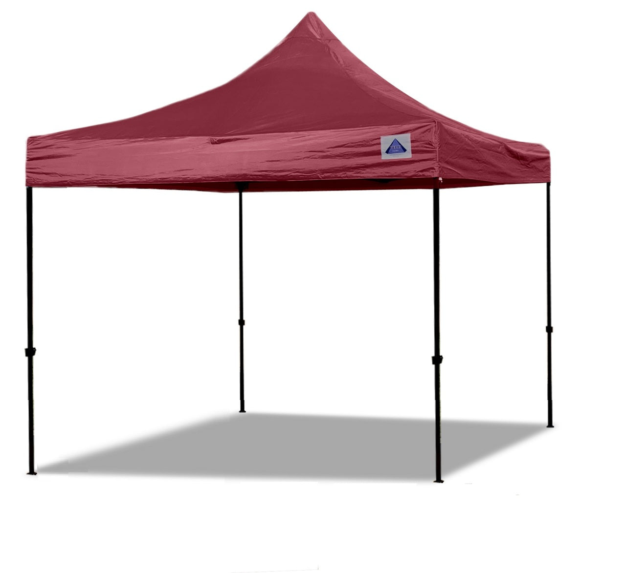 D/S Model 10’x10′ Pop Up Tent Canopy Shelter Shade with Weight Bags and Storage Bag