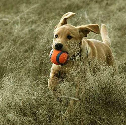 Chuckit! Ultra Ball Durable Dog Toys， Medium， 2-Pack