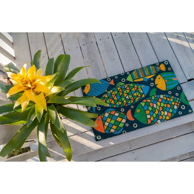 X 2 x27 4 quot Fancy Fish Indoor outdoor Coir Doormat Entryways