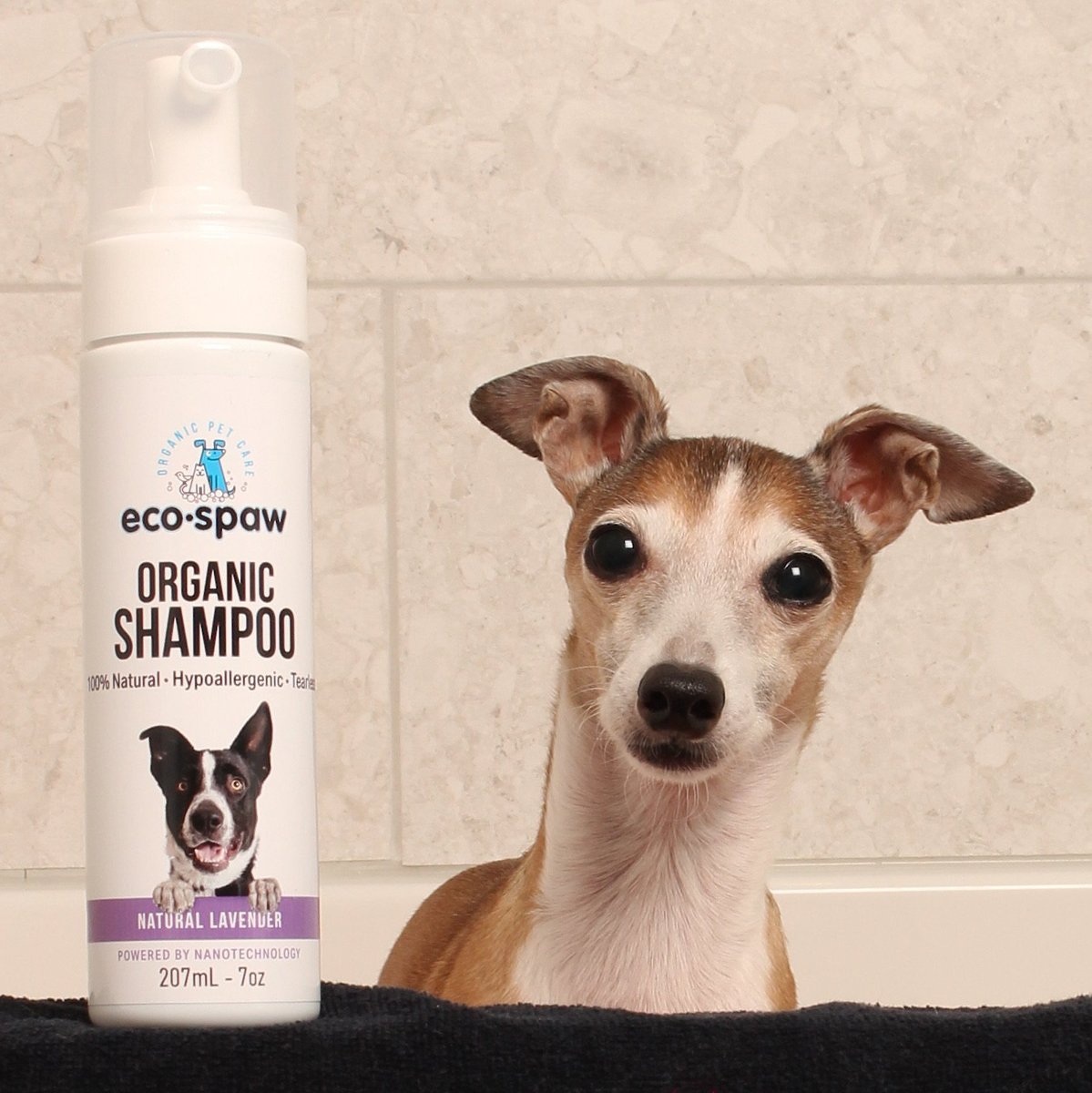 EcoSpaw Unscented Dog and Cat Shampoo