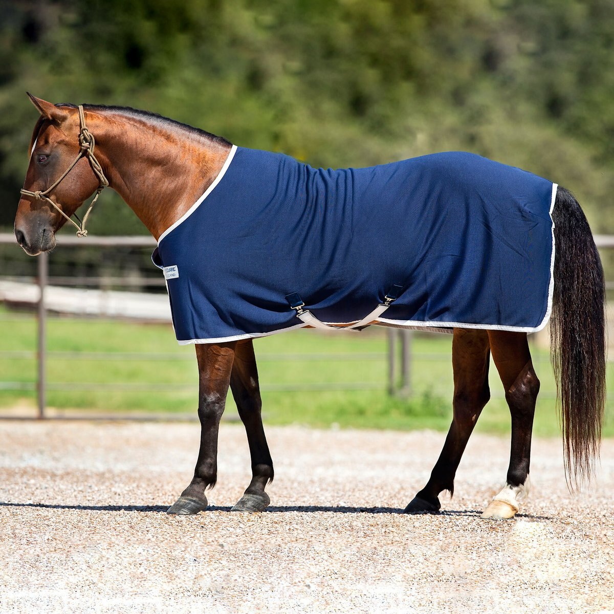 AMIGO Jersey Horse Cooler， Navy/Silver