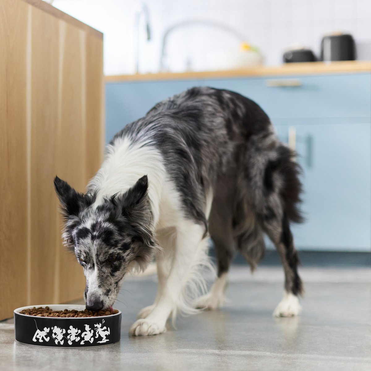 Disney Mickey Mouse Slow Feeder Dog and Cat Bowl