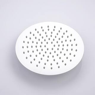 GIVING TREE 1-Spray 10 in. Round Rainfall Shower Head and Handheld Shower Head in Chrome XLHDDFAR0002