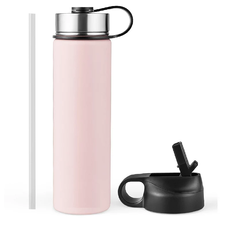 22 Oz Double-walled Insulated Stainless Steel Water Bottle with Straw Lid