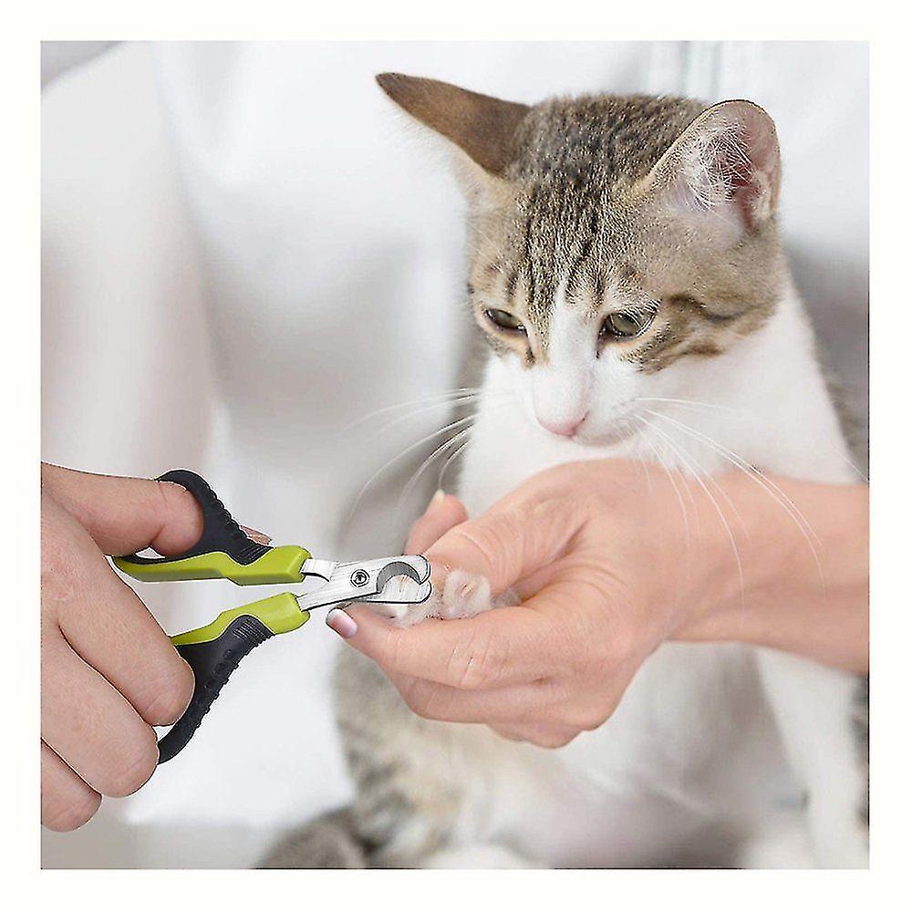 Professional Claw Scissors For Cats， Cat Nail Clippers In Animal Salon Quality - Claw Trimmer， Claw Care At Home