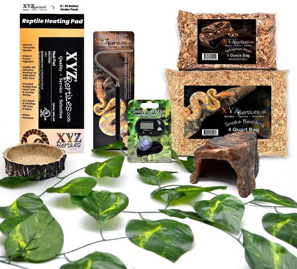 XYZReptiles Corn Snake Reptile Starter Kit