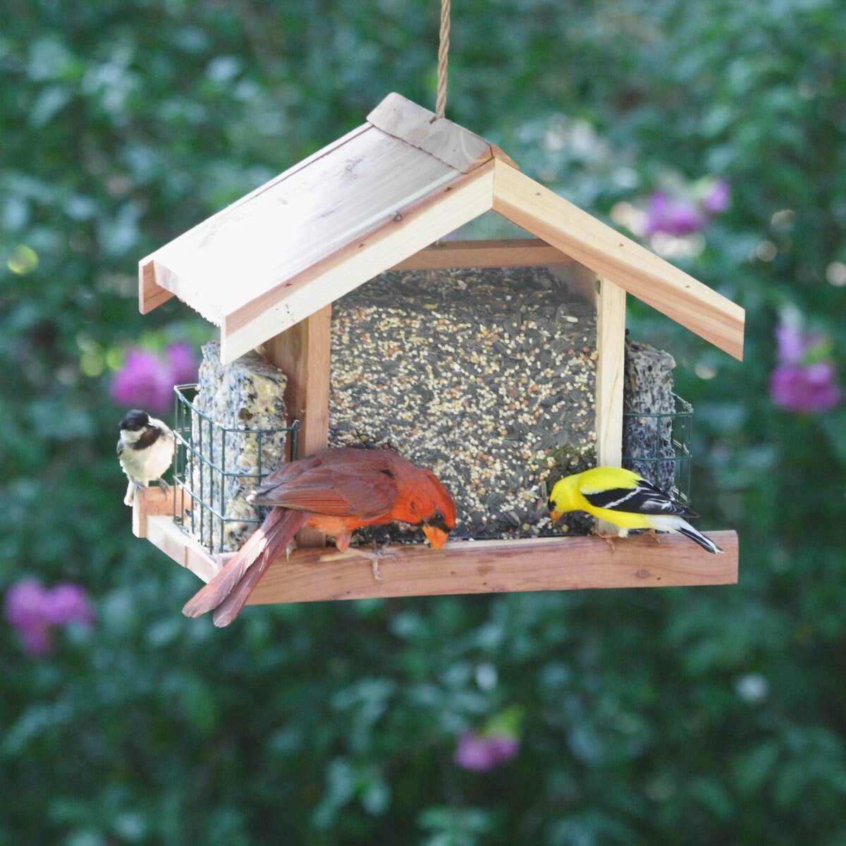 Perky-Pet Deluxe Chalet Cedar Bird Feeder