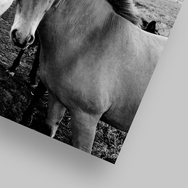 Americanflat Animal Landscape Farm Horses Black And White By Nuada Poster