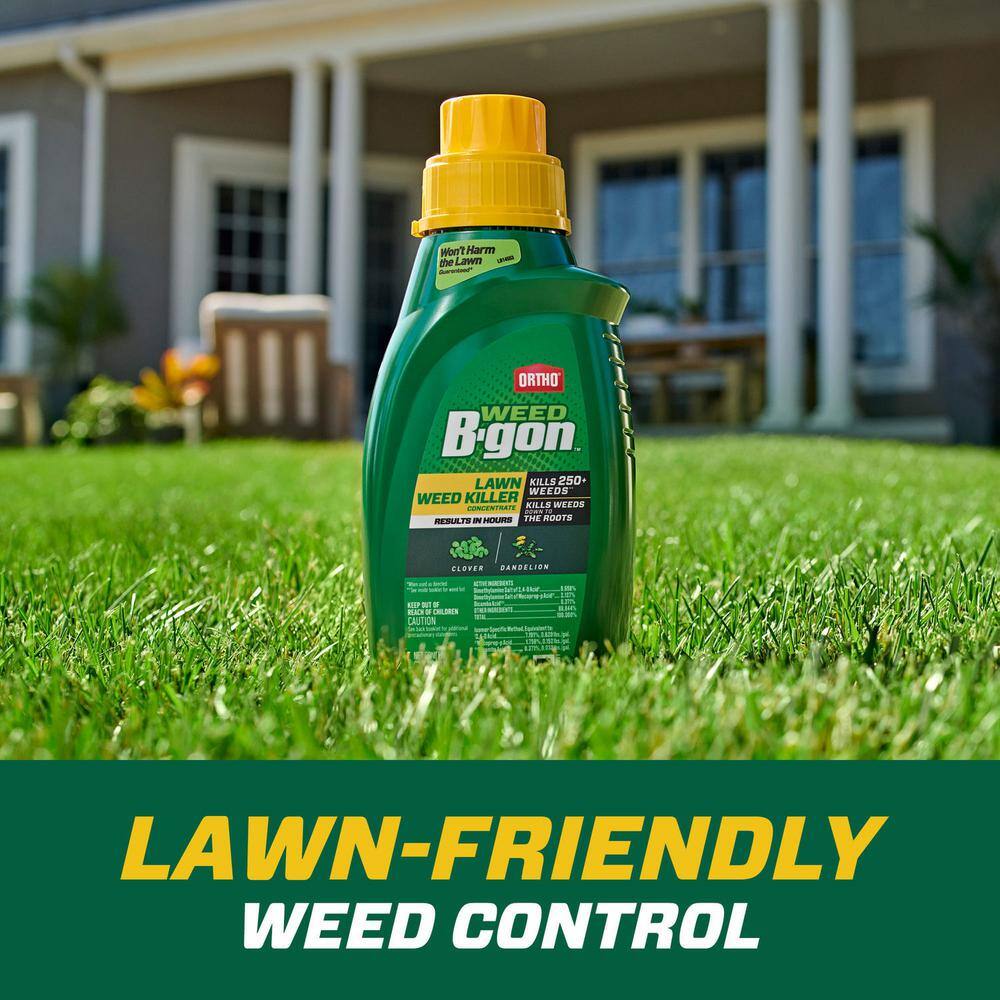 Ortho Weed B gon 32 fl. oz. Lawn Weed Killer Concentrate Kills Clover and Dandelion Down to the Roots 042331005