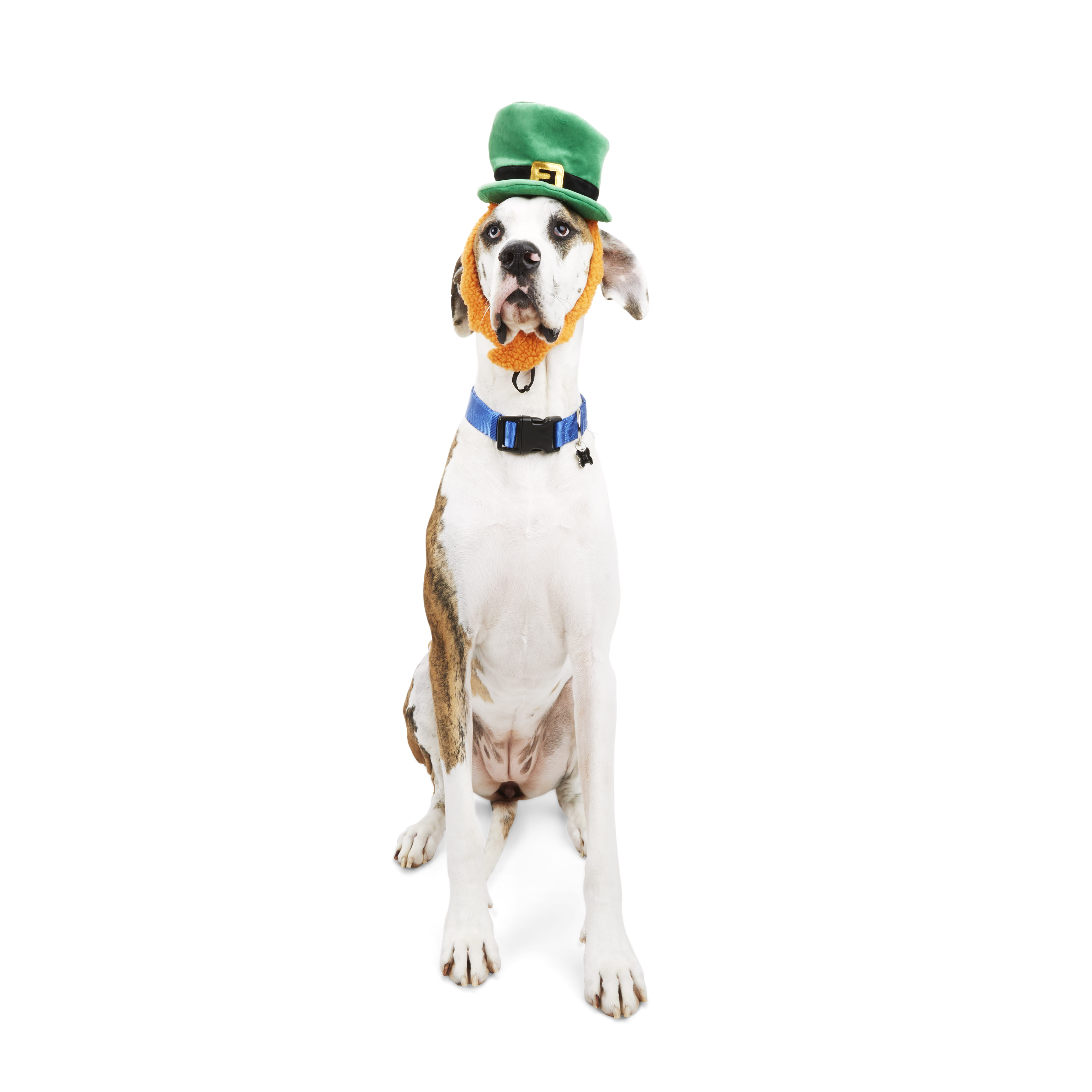 YOULY St. Pats Leprechaun Dog Headpiece， Small/Medium