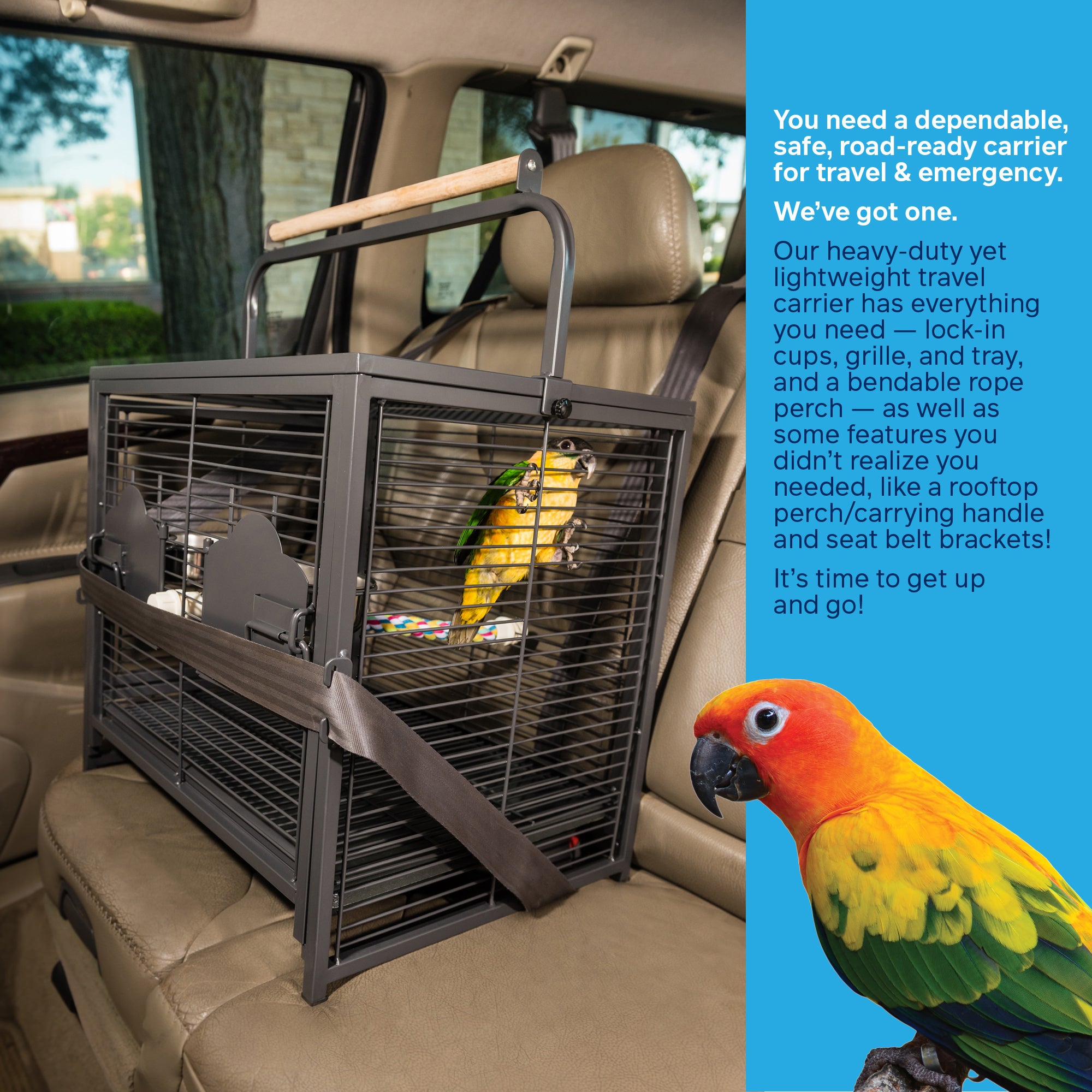 Prevue Pet Products Portable Metal Travel Bird Cage Carrier Cage