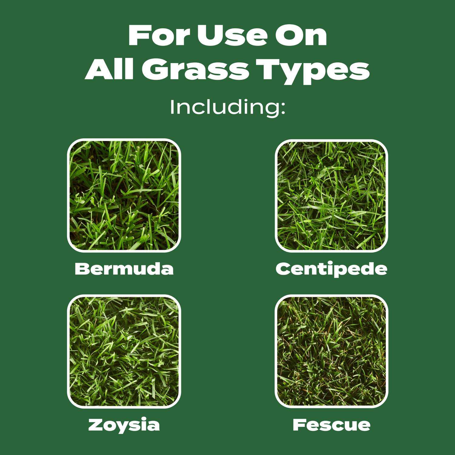 Scotts Turf Builder All-Purpose Lawn Food， All Grasses 5000 ft