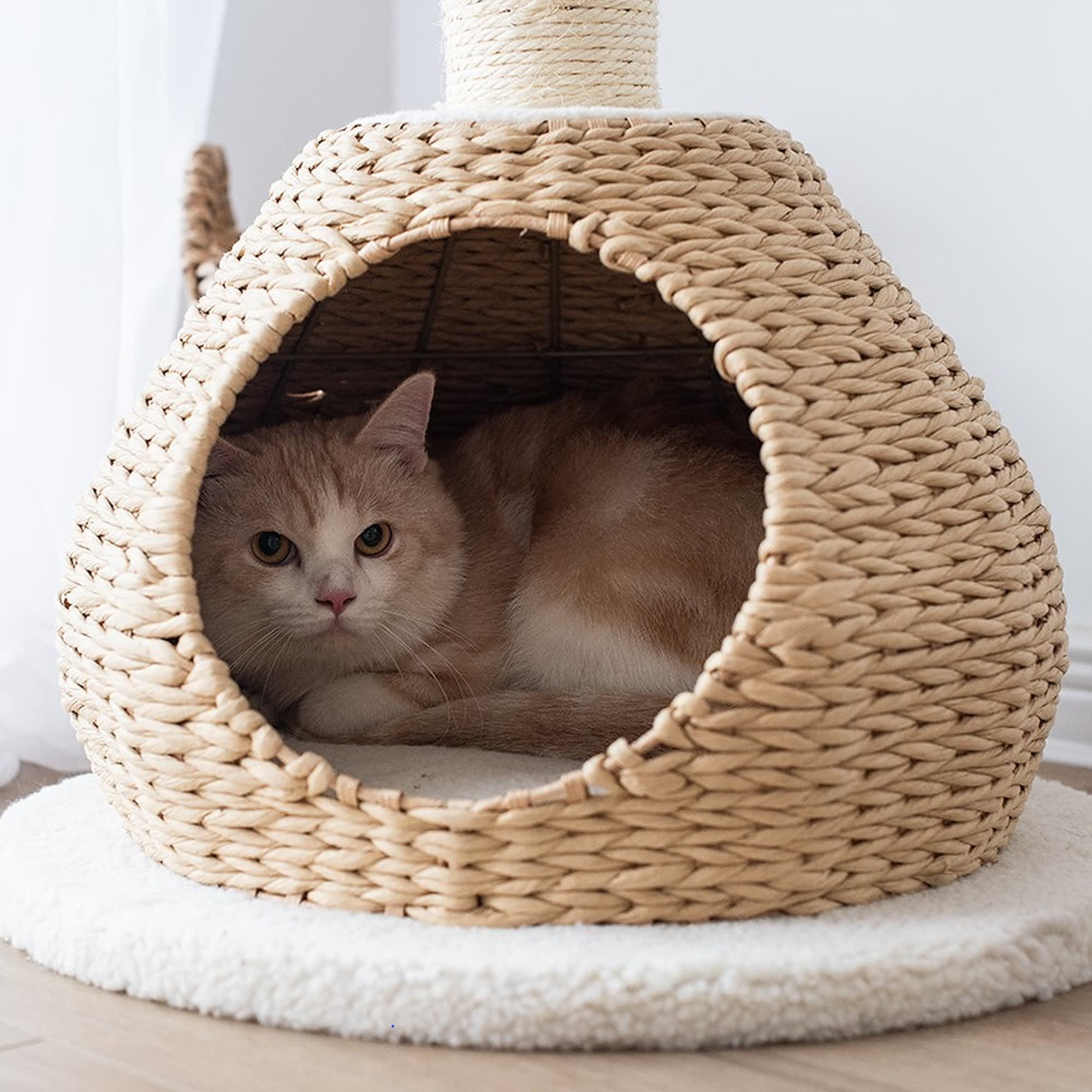 PetPals Group Walk-Up Boho Handwoven Cat Condo with Perch  Sisal Scratching Post， 28.5