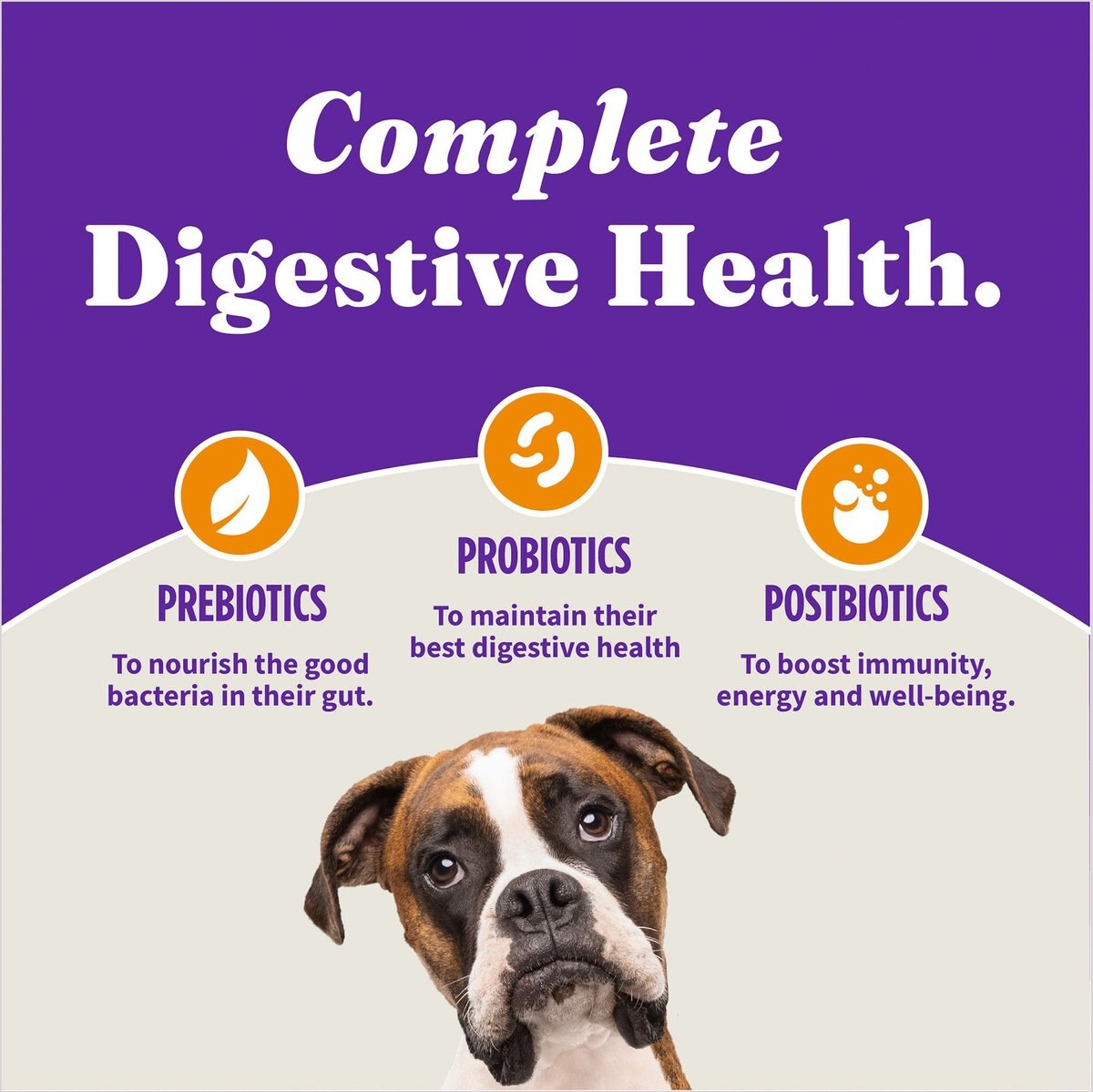 Halo Holistic Complete Digestive Health Chicken and Brown Rice Recipe Puppy Dry Dog Food