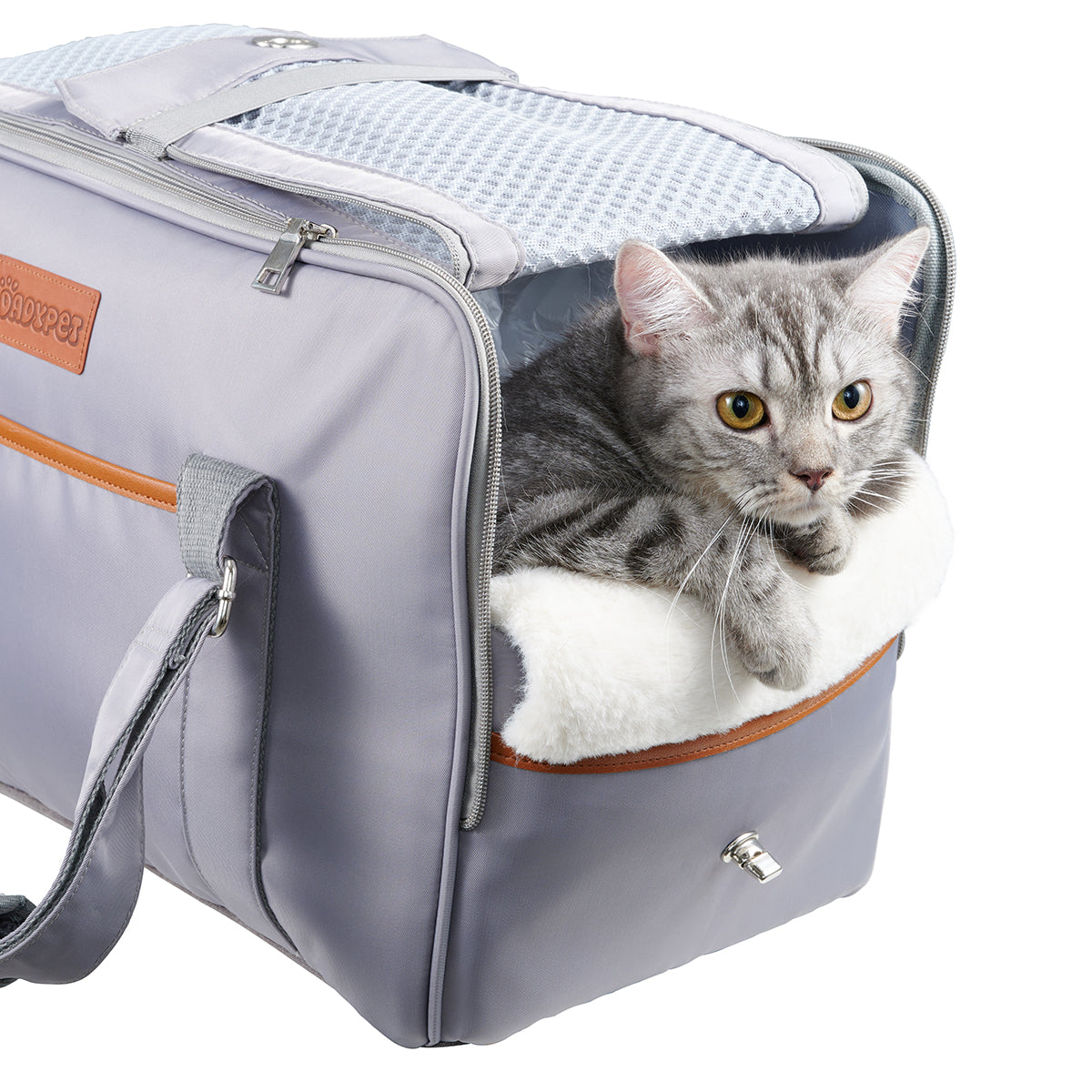 Dadypet Pet Carrier Airline Approved Soft-Sided Cat Travel Carrier with Wool Rugs Portable Dog Carrier Bag