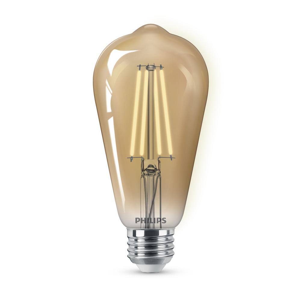 Philips 75-Watt Equivalent ST19 Glass Dimmable E26 Vintage Edison LED Light Bulb Amber 2000K (2-Pack) 565969