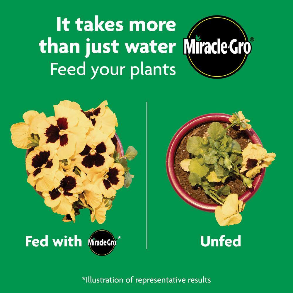 Miracle-Gro Shake 'N Feed All Purpose Plant Food 300181005