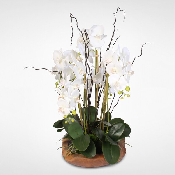 White Real Touch Phalaenopsis Silk Orchid Arrangement in a Natural Teak Bowl