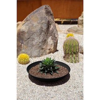 Veradek Lane Bowl 24 in. Black Plastic Round Planter LBV24B