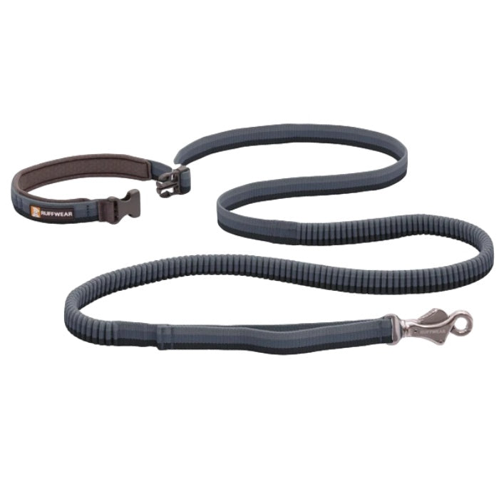 Roamer Dog Leash