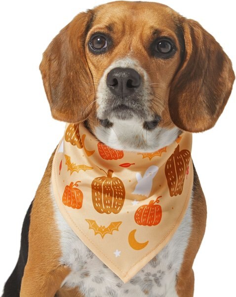 Frisco Whimsical Halloween Dog and Cat Bandana