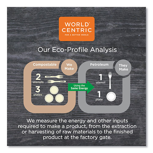 World Centric Fiber Trays | PLA Lined， PFAS Free， 18 x 14 x 1， Natural， 100