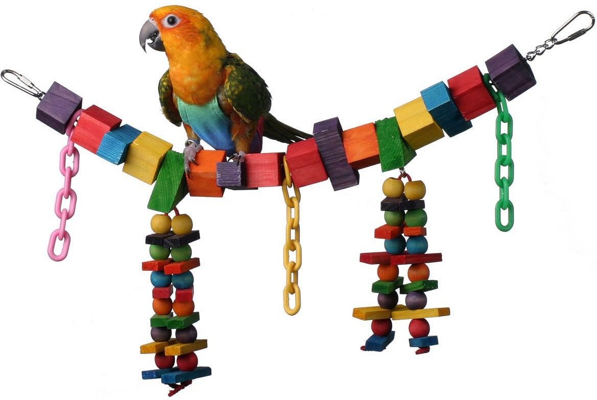 Super Bird Creations Rainbow Bridge Bird Toy， Medium/Large