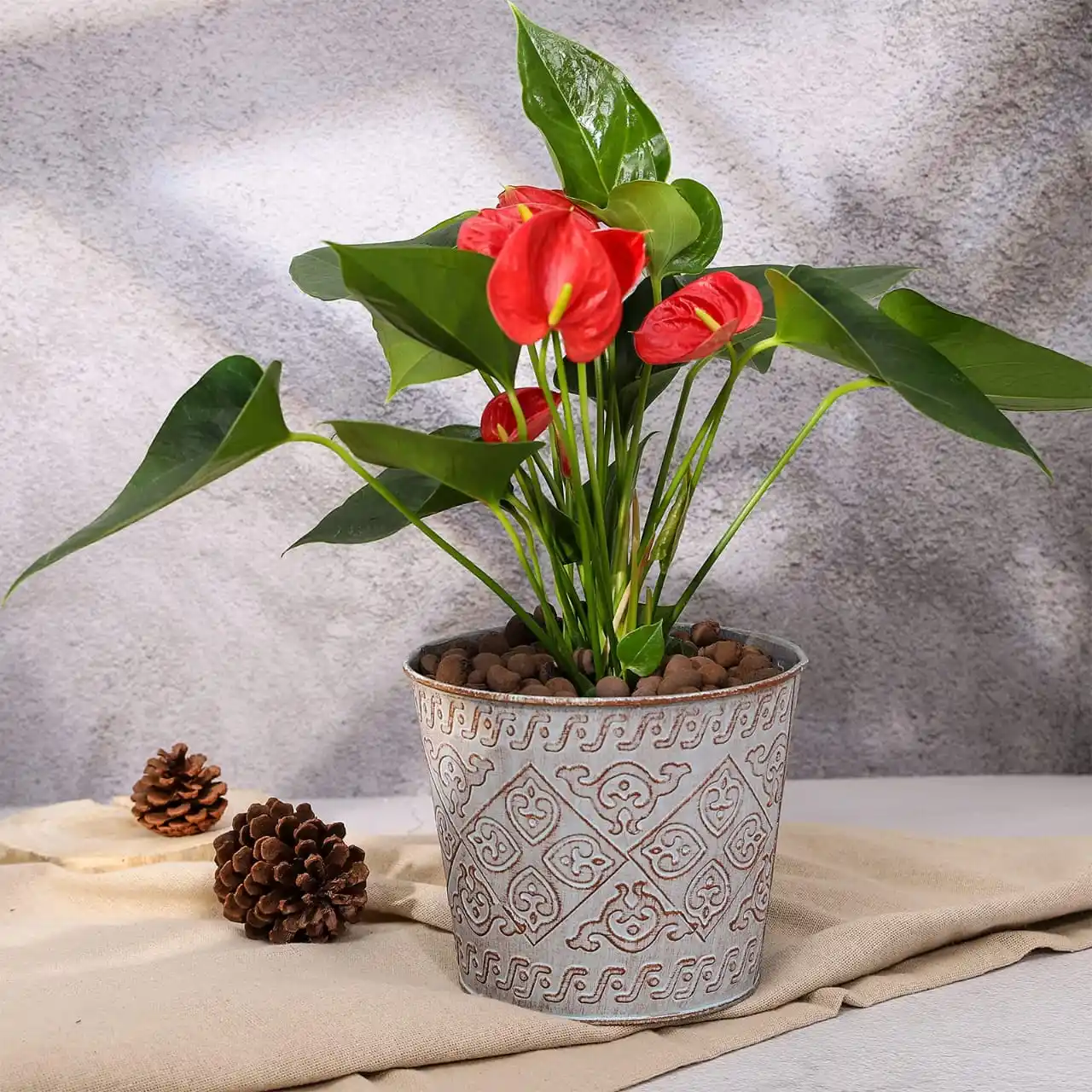 Top Sale Indoor Outdoor Garden Decorative Metal Flower Planters Embossed Home Decoration Pot with Wholesale Price