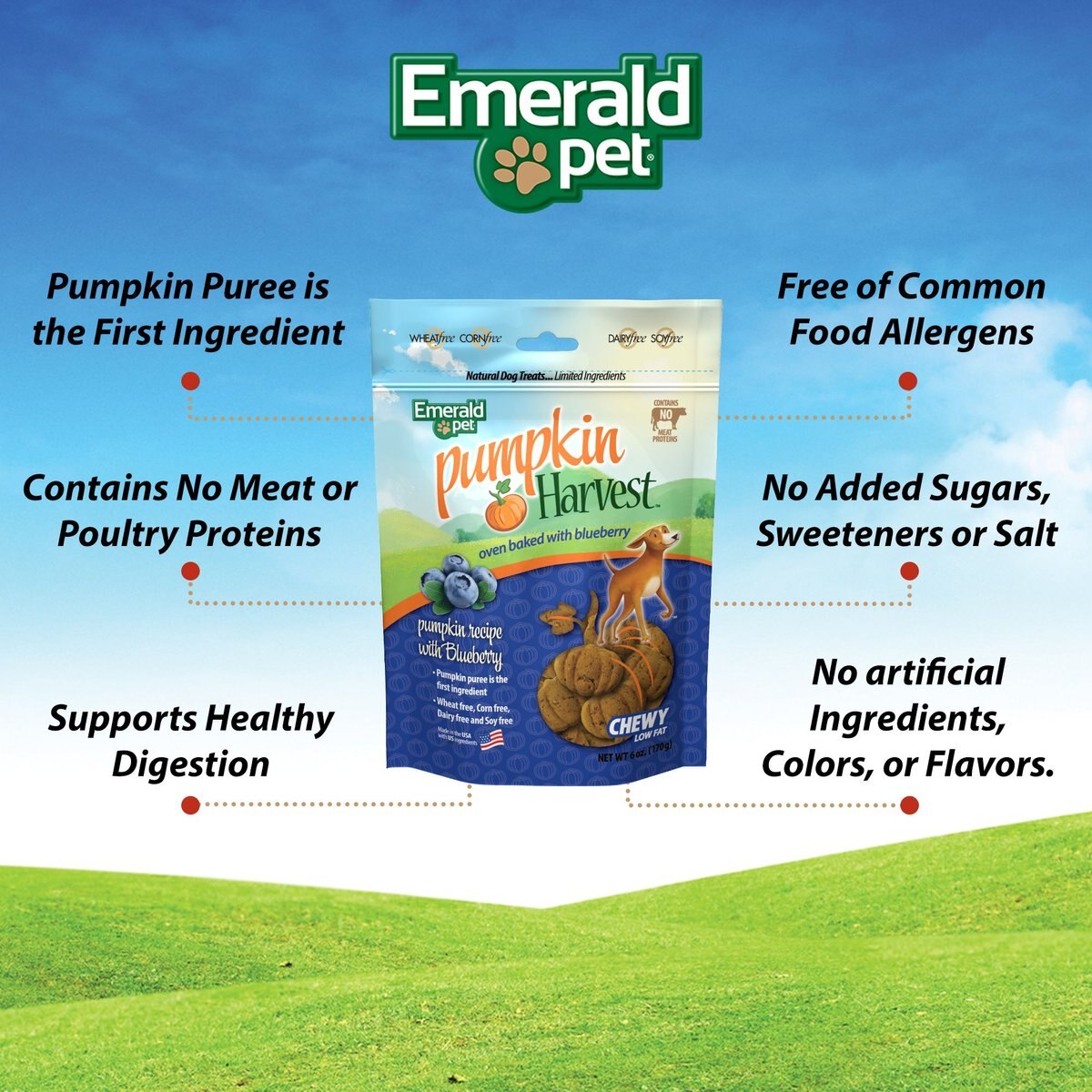 Emerald Pet Pumpkin Harvest Oven Baked Pumpkin Recipe With Blueberry Chewy Dog Treats， 6-oz bag